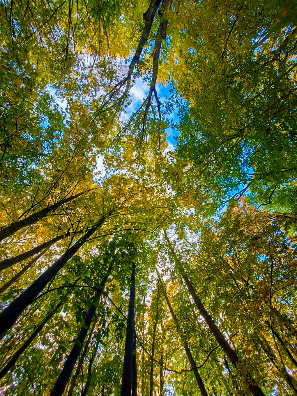 Exploring the Four Seasons in Germany